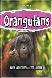 Orangutans