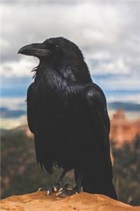 Call of the Crow Book Review Journal
