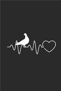 Pigeon Heartbeat