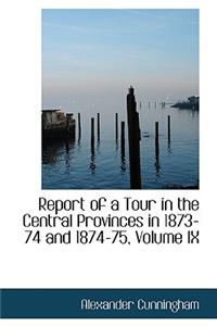 Report of a Tour in the Central Provinces in 1873-74 and 1874-75, Volume IX