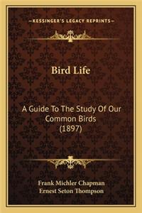 Bird Life