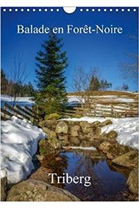 Balade En Foret-Noire Triberg 2018