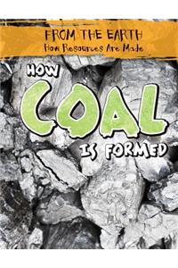 How Coal Is Formed