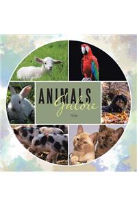 Animals Galore