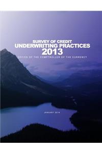 2013 Survey of Credit Underwriting Practices