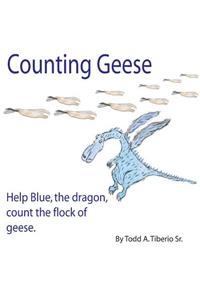 Counting Geese