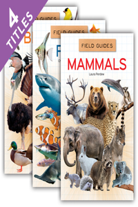 Field Guides Set 1 (Set)
