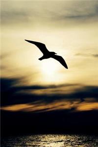 Seagull in Flight Journal