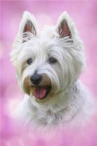 Westie Pup - West Highland Terrier Puppy Journal