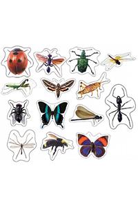 Insects: Photographic Shape Stickers