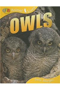 Owls