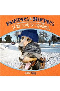 Rumpus and Bumpus