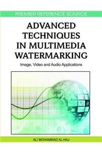 Advanced Techniques in Multimedia Watermarking