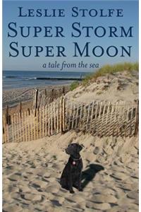 Super Storm Super Moon