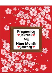 Pregnancy journal my nine month journey