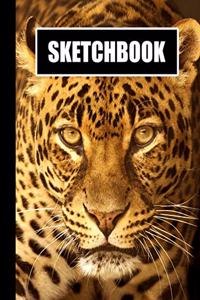 Sketchbook