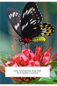 The Notebook for the Butterfly Lover