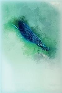 Dragonfly Blue Journal
