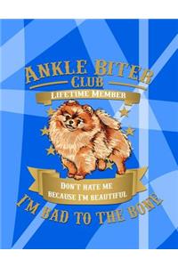 Ankle Biter Club Lifetime Member: Don't Hate Me Because I'm Beautiful, I'm Bad to the Bone - Pomeranian