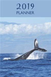 Blue Whale Planner