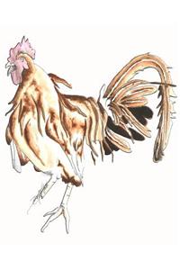 Fighting Rooster 2019 Daily Planner