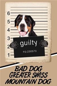 Bad Dog Greater Swiss Mountain Dog