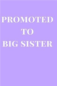 Promoted to Big Sister