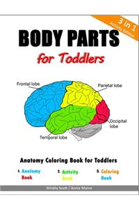Body Parts for Toddlers