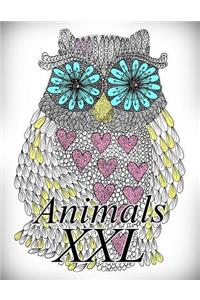 Animals XXL