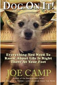 Dog On It! - Everything You Need To Know About Life Is Right There At Your Feet