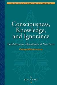Consciousness, Knowledge, and Ignorance – Prakasatman's Elucidation of Five Parts