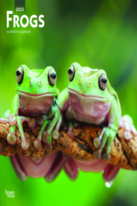 Frogs 2023 Square