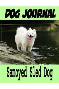 Dog Journal Samoyed Sled Dog