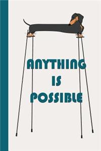 Anything Is Possible