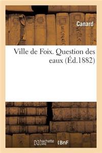 Ville de Foix. Question Des Eaux