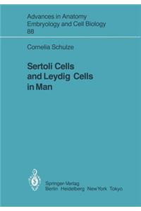 Sertoli Cells and Leydig Cells in Man