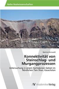 Konnektivität von Steinschlag- und Murgangprozessen