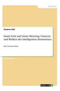 Smart Grid und Smart Metering. Chancen und Risiken des intelligenten Stromnetzes