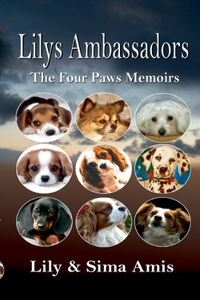 Lilys Ambassadors