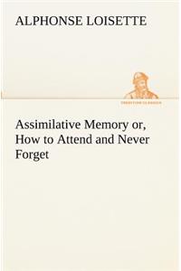 Assimilative Memory or, How to Attend and Never Forget