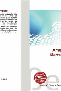 Amerikanische Klettertrompete