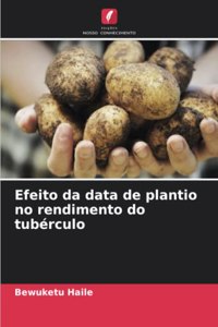 Efeito da data de plantio no rendimento do tubérculo