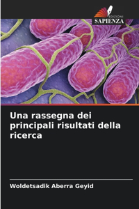 rassegna dei principali risultati della ricerca