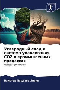 Углеродный след и система улавливания CO2 в п&