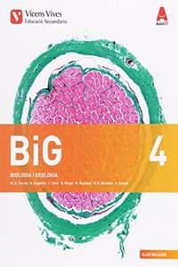 BIG 4 BALEARS+ BIG 4 BALEARS DOSSIER