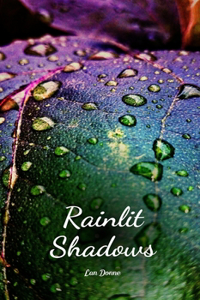 Rainlit Shadows