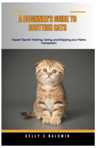 Beginner's Guide for Scottish Cats