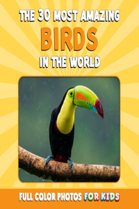 30 Most Amazing Birds in the World