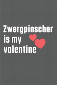 Zwergpinscher is my valentine