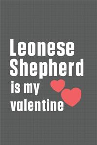 Leonese Shepherd is my valentine